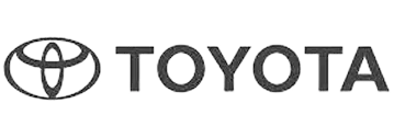 toy